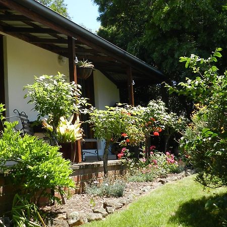 Wagners Cottages Суонси Екстериор снимка