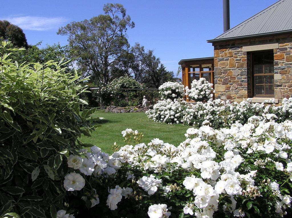 Wagners Cottages Суонси Екстериор снимка
