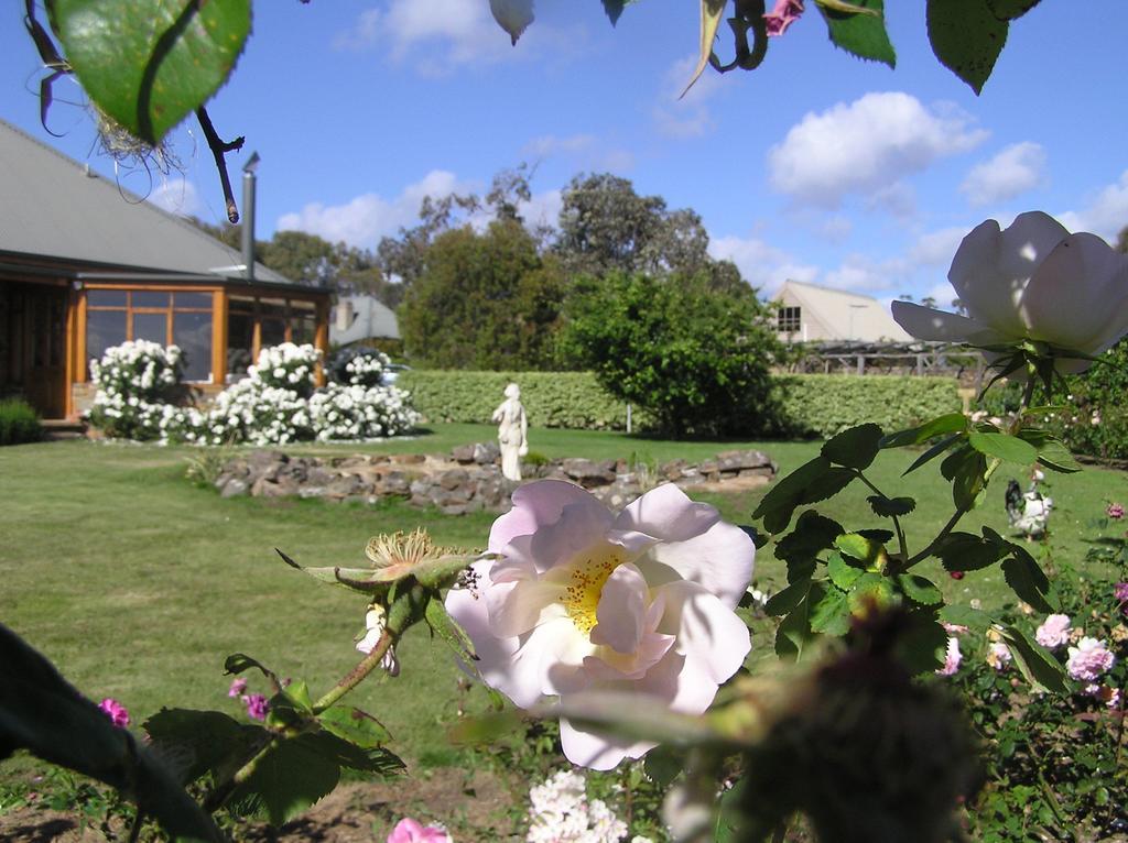Wagners Cottages Суонси Екстериор снимка